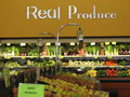 Organic grocery store design in San Jose, CA
